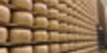 Boom Parmigiano Reggiano: caseifici aperti ed export da record