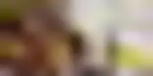Dazi, Fitto: non ci piacciono, ma definito miglior accordo possibile