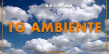 Tg Ambiente - 12/10/2025