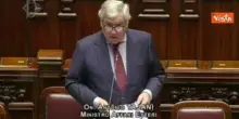 Tajani: Straordinaria generosità nostra filiera agroalimentare in aiuti per Gaza