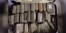 Due pusher in manette nel Milanese, sequestrati 200 kg di hashish