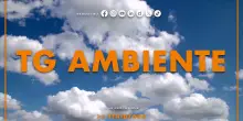 Tg Ambiente - 19/10/2025