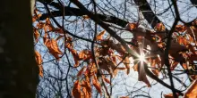Giuliacci, sorpresa d'autunno: dove si superano i 30 gradi nel weekend