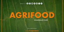 Agrifood Magazine - 22/10/2025