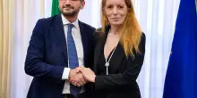 Autorizzata nuova cura per peritonite felina, Brambilla: "Altra promessa mantenuta e tanti gatti salvati"