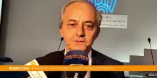 Modello 231, Cuva "Presidio di legalità nel mondo d'impresa"