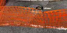 Quanto sono brutte le reti da pollaio per mascherare il pavè