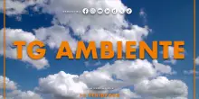 Tg Ambiente - 26/10/2025
