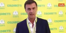 Prandini (Coldiretti): Per agricoltura record di finanziamenti, zootecnia è pilastro