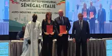Ifad e Bf S.p.A. uniscono le forze per promuovere un'agricoltura sostenibile e inclusiva in Africa