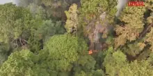 Messico, vasti incendi nel Paese