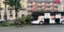 Torino, bus contro un albero: le immagini dell’incidente