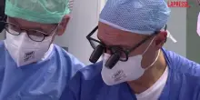 Sanità, nasce in Italia l’Alleanza per l’Equità nella Salute