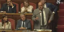 Il senatore FdI Berrino in aula: “Donne che fanno figli per rubare non degne di farli”