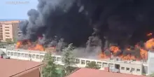 Viterbo, incendio all’Università della Tuscia: le immagini del rogo
