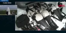 Lite Musk-Trump, a cosa serve la navicella Dragon che SpaceX vuole ‘togliere’ alla Nasa
