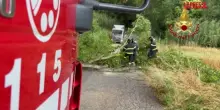 Meteo: 80 interventi per il maltempo nelle Marche