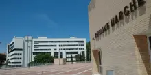 Marche, tentativo di truffe sms da parte di un finto Cup