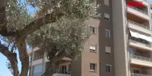 Green e inclusivo, ecco Urban District nel quartiere più sostenibile di Roma