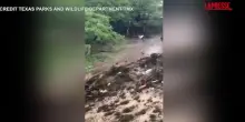 Texas, i danni causati dalle inondazioni: le immagini