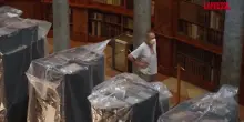 Ungheria, 100mila libri secolari rovinati dallo "scarafaggio delle farmacie"