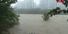 Corea del Sud, forti piogge e alluvioni: 4 morti e 1300 evacuati