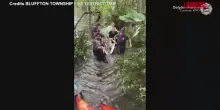 Carolina del Sud, delfino spiaggiato in una laguna salvato e liberato