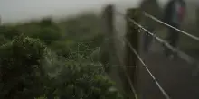 Irlanda del Nord, sparatoria: 2 morti