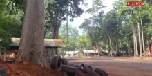Cambogia-Thailandia, conflitto a fuoco tra militari al confine: i civili in fuga tra spari ed esplosioni