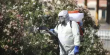 West Nile: 7 nuovi casi accertati nel Lazio