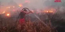 Albania, in fiamme migliaia di ettari di boschi: le immagini dei vigili del fuoco
