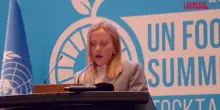 Sistemi alimentari, Meloni: "LItalia promuoverà export prodotti africani su mercato Ue"