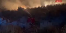 Albania, gli incendi bruciano migliaia di ettari di foreste