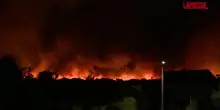 Incendio in Portogallo, i boschi bruciano: oltre 2000 vigili del fuoco in azione