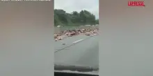Usa, camion carico di hot dog si ribalta su unautostrada della Pennsylvania