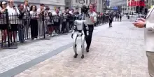 Robot accoglie i turisti alla Borsa di New York