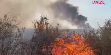 California, incendio fuori controllo: case minacciate dal fuoco