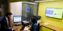 Poste: arriva l’assicurazione dedicata a cani e gatti