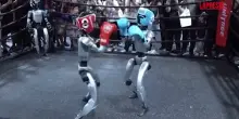 Robot combattono sul ring, ecco cosa è successo allExpo tech di Pechino