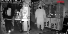 Los Angeles, rubati pupazzetti Labubu dal valore di 7mila dollari