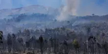 Incendio Vesuvio, i danni al Parco Nazionale FOTO