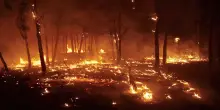 Incendi in Spagna, 7 feriti gravi per i roghi in Castiglia e Leon. 25 piromani in manette