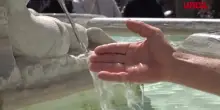 Allerta caldo, residenti e turisti nella morsa dellafa a Roma