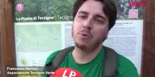 Incendio Vesuvio, la denuncia delle associazioni: "Mancate bonifiche e manutenzioni alla base del disastro"