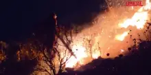 Incendi in Albania, lintervento dei vigili del fuoco nelle zone montuose