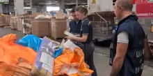 Malpensa, sequestrati 3.761 farmaci destinati al mercato illegale