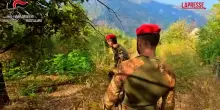 Reggio Calabria, maxi piantagione marijuana a Caulonia: sequestrate 2mila piante