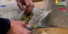 Roma, 81 chili di marijuana nascosti tra gli abiti da sposa: il video del maxi sequestro