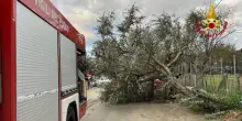 Maltempo, forte temporale in Romagna: allagamenti tra Rimini e Ravenna