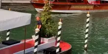 Mostra Cinema Venezia 2025, Stefano Accorsi al Lido